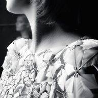 Дивовижні полотна з пір’я Джанейни Мільхейро