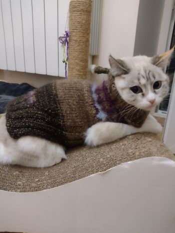 Для тепла.