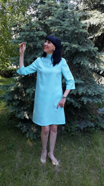 Сукня А-силуету зі стйкою