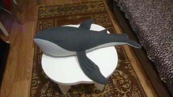 Кит