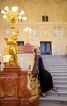 Одеський зимовий флешмоб " Вечірнє вбрання". Моя сукня з крилами! - фото 4