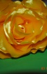 Квіти з тканини - фото 5